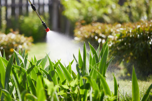 24/7 Emergency Mosquito Control experts in West Portsmouth, OH