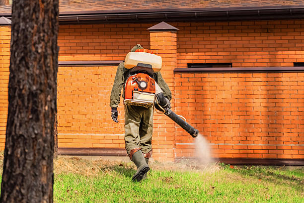 Trusted Rodent Control service in West Portsmouth, OH - Nex Pest Control